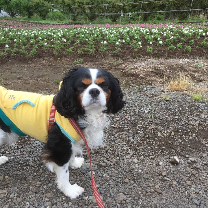 F1617ab8 22d1 4c68 b448 c53f09cd5b44