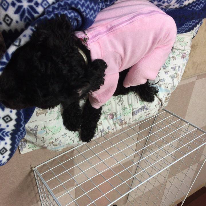 F1619c19 de16 42b2 8f42 66dfc4fdc640