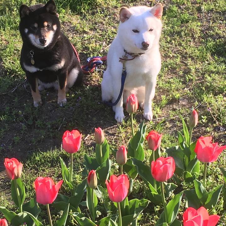 F1624655 ebbe 4fdb a53b 26b8c5ae2332