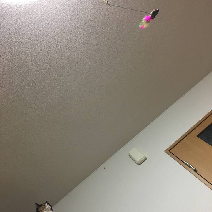 F16266f7 1942 4c70 9369 b08fa5c7b3fb