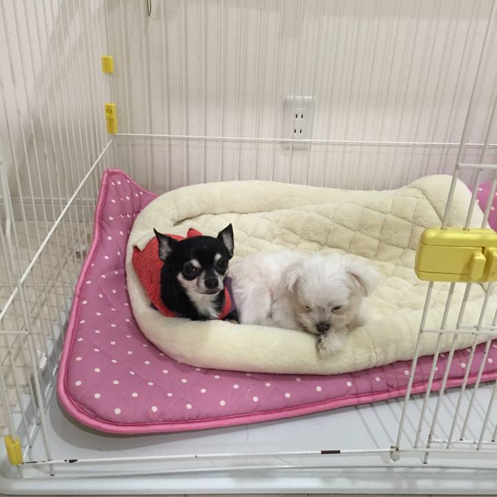 F162a965 4940 4044 83f2 1002870b1f60