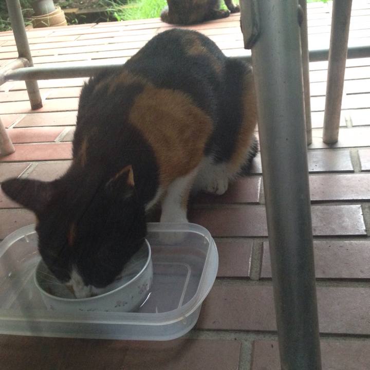 F162f71a 592d 426a aa1e 96111efc68ed