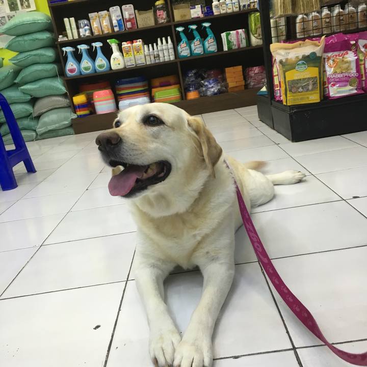 F162fcef 3ea0 4b49 8ba9 78140abe1f62