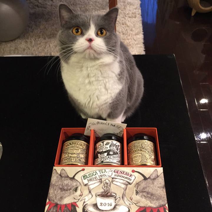 F163d88e f119 4a30 9cc4 7cd8beca5a38