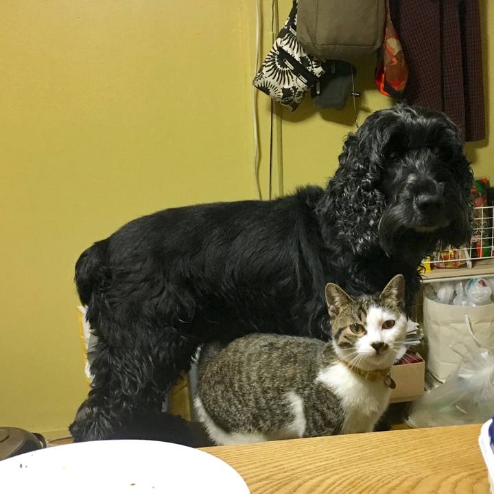 F165254f 42c0 4a29 bd4c 5eb07b2b9669