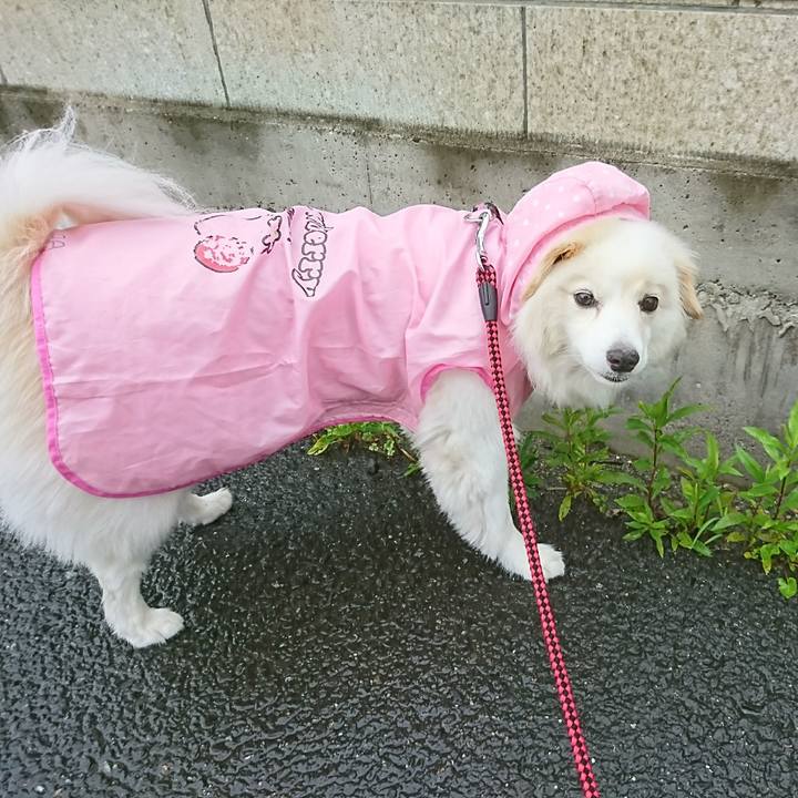 F165364a e27d 42b8 b28b 29b5816b5ffd