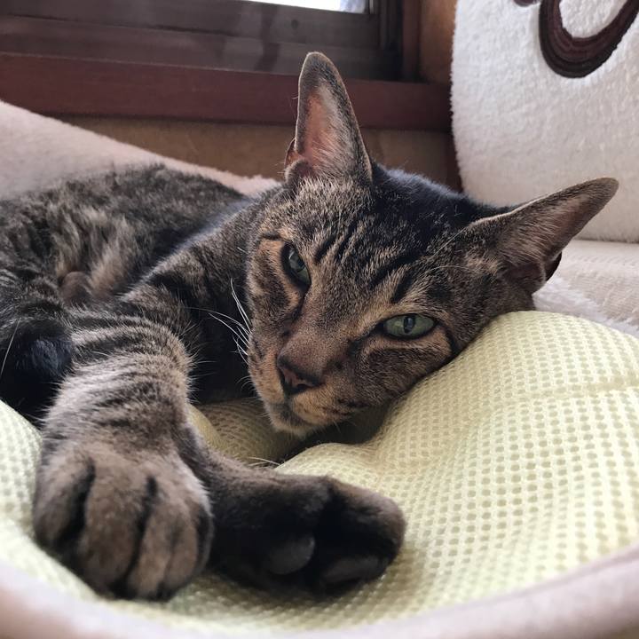 F1657b0d 3cef 4d89 b5cf 40e062da10f8