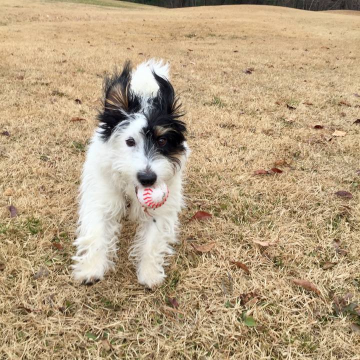 F16586be 47c9 4782 9010 b7dcde8b2f64