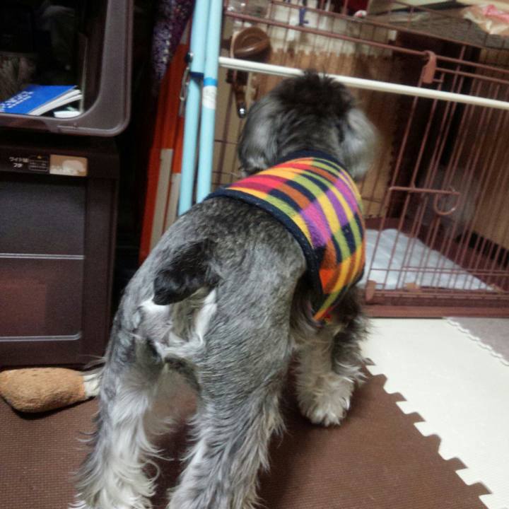 F165a465 d11d 49e7 8105 96e748718c3f