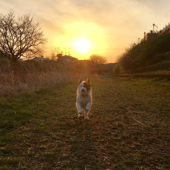 F165cc6c ee97 4cd2 8887 6a182b57b771