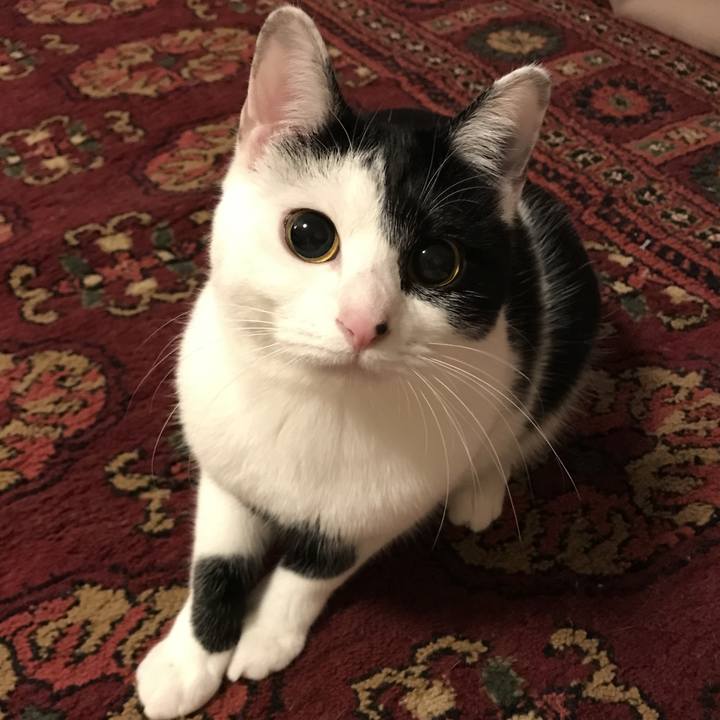 F1669d27 6ea2 4248 b2b4 576df84b4b7f