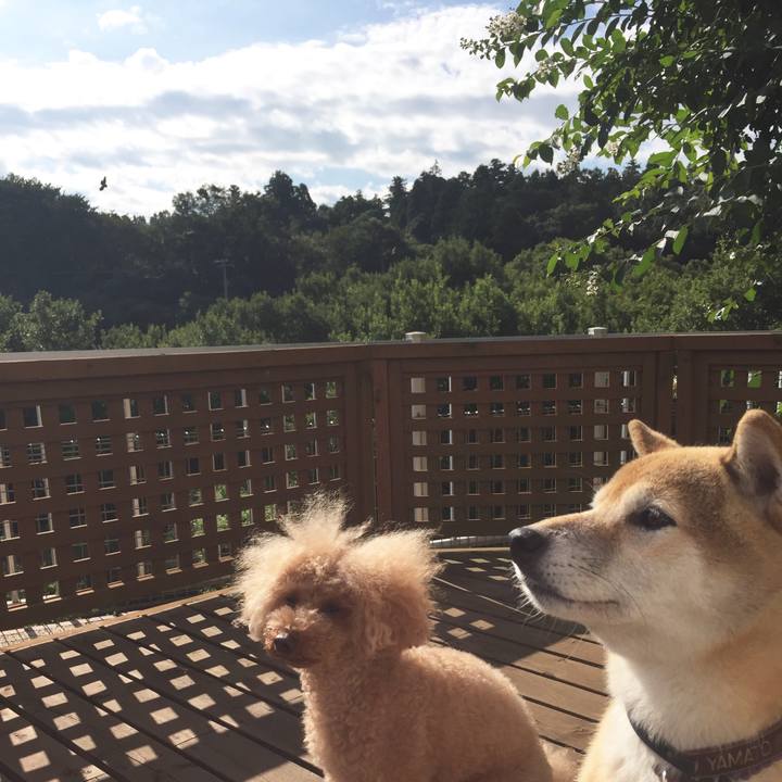 F16721b4 3d31 4a10 ab13 e819286af402