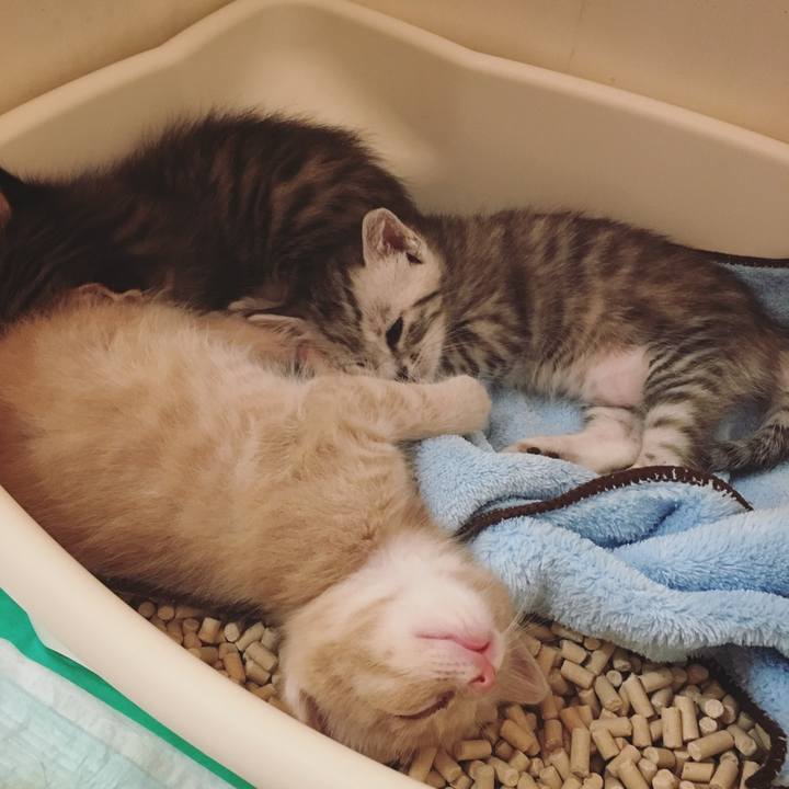 F167798b 2e36 4c4e 9822 d9e6a6c6e8fd