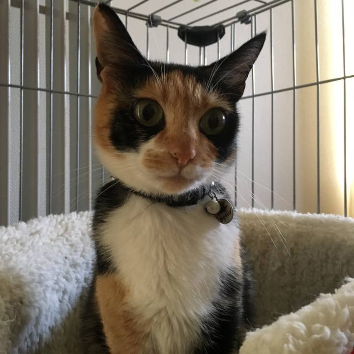 F167cf69 f972 4b28 b57f 4f722ea49266