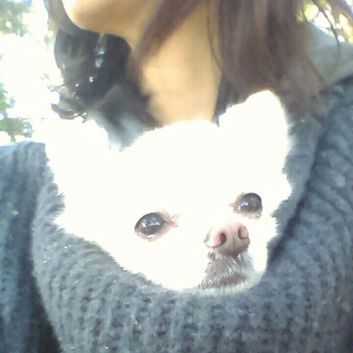 F167ece9 cc59 47c5 956d f3d1a1ce47df