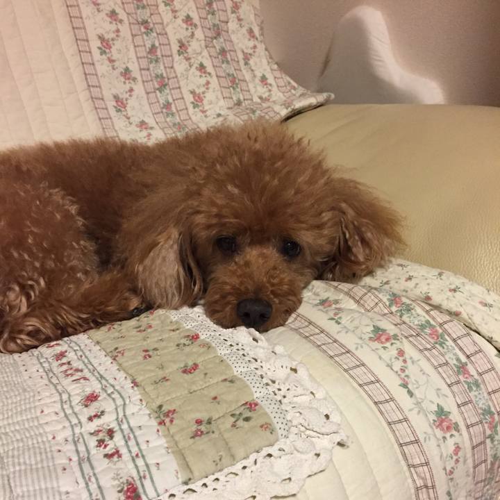 F1683140 da09 4297 856e de7adbc5d543