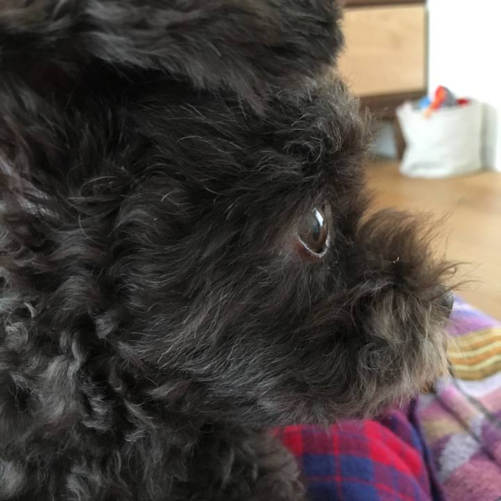 F1684339 2840 48b4 8c81 e3946facedfb