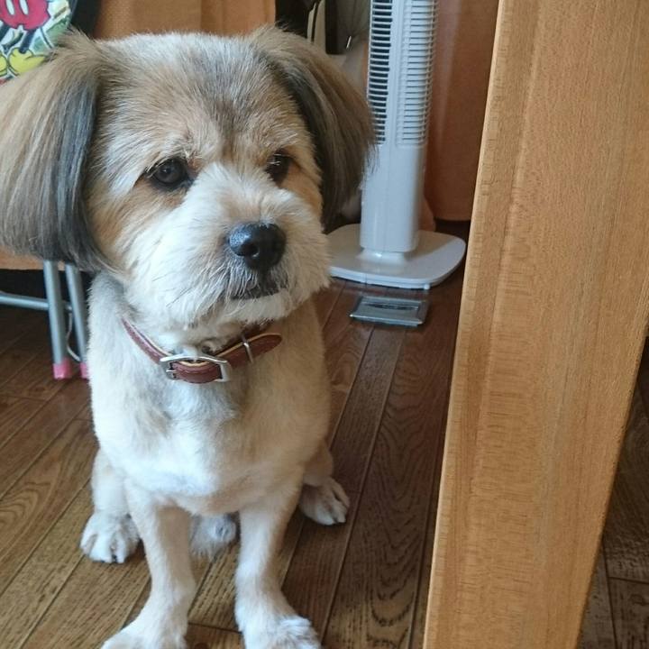 F168a00b 8244 4783 8430 1ac542ff5968