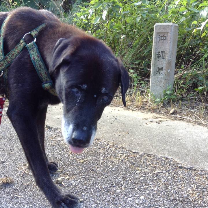 F168f4cf 4502 4a15 8626 788ecec4008f