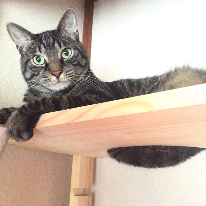 F16911ab 0584 40cb a1d4 a348e63e438e