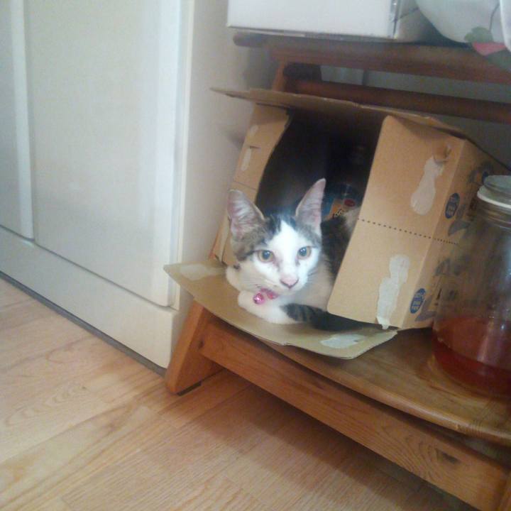 F1692ad3 7595 4a5f 92b3 53d5c635d251