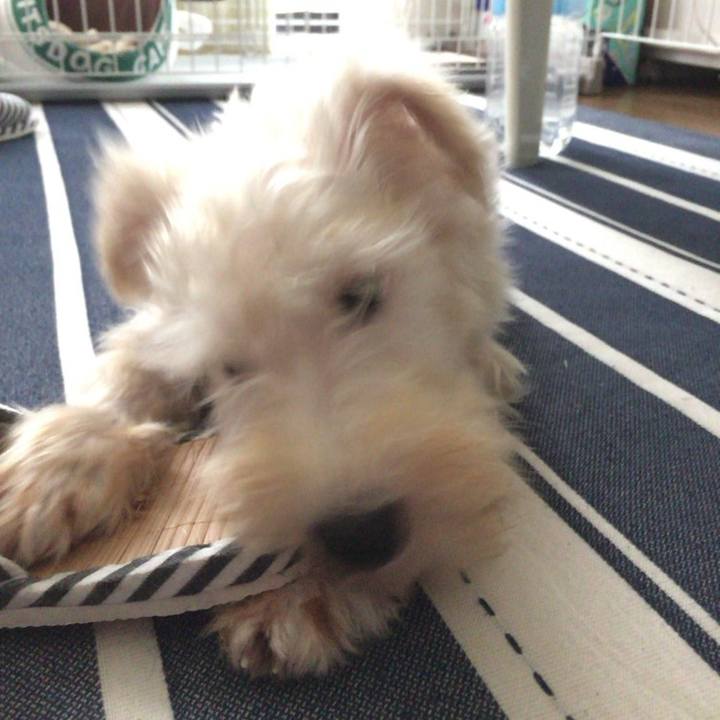 F169999c fbe5 4933 925c 8f63891fc07f