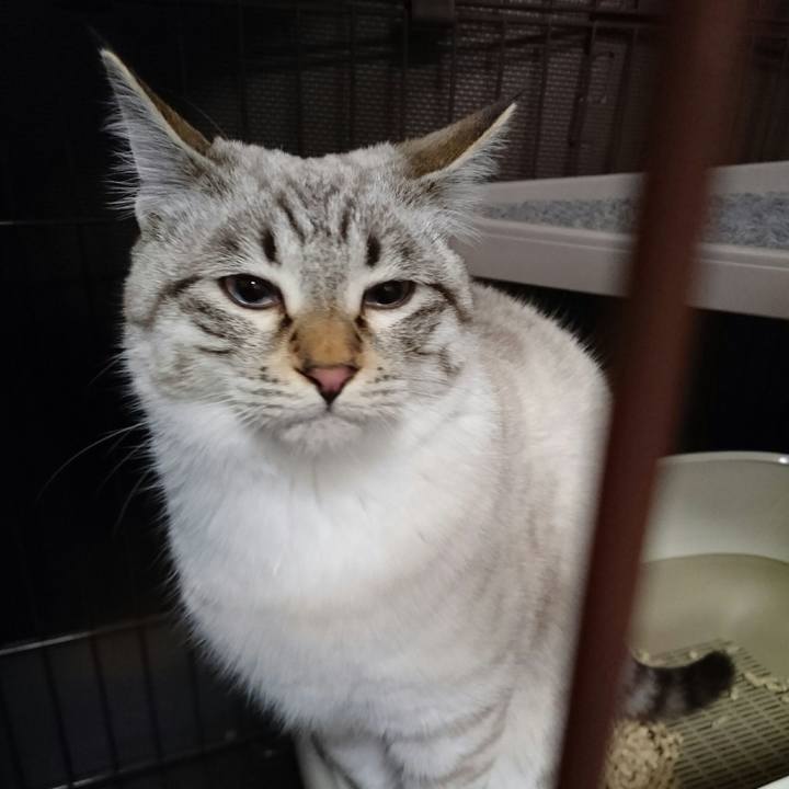 F169b98f e378 4767 94dd b7ce7d048302