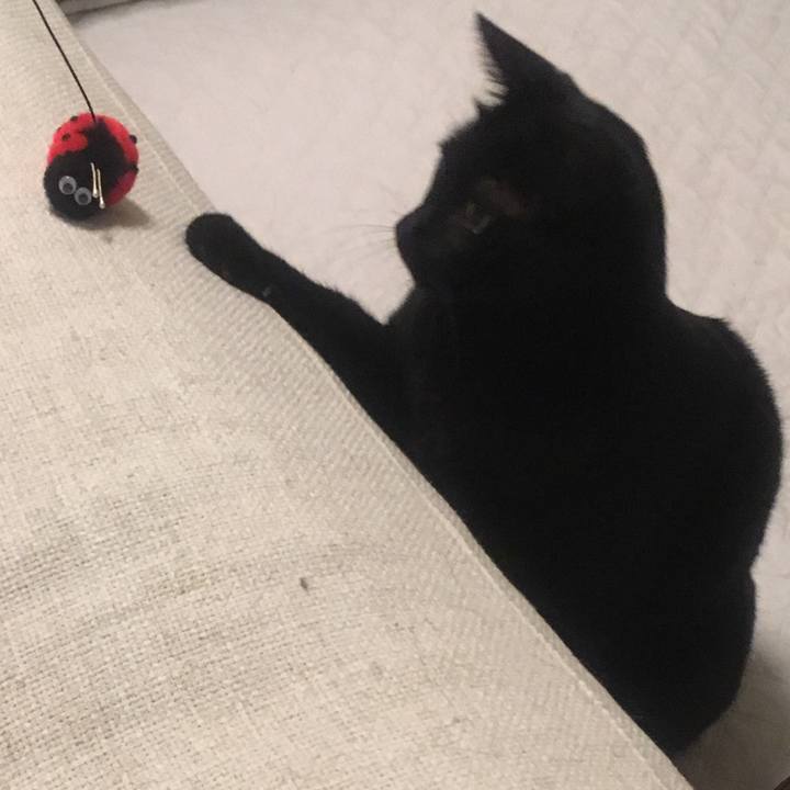 F169f759 9737 4071 89f0 81a77280ffb8