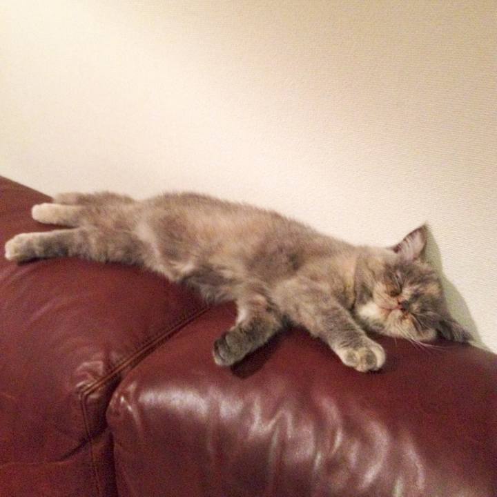 F16bbe97 2d7f 4a75 8a04 5a9175645f46