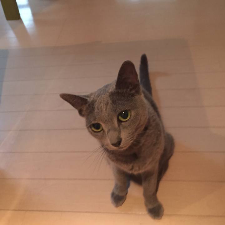 F16c43ea fe7a 4f90 b9ec 8f9bb8491dee