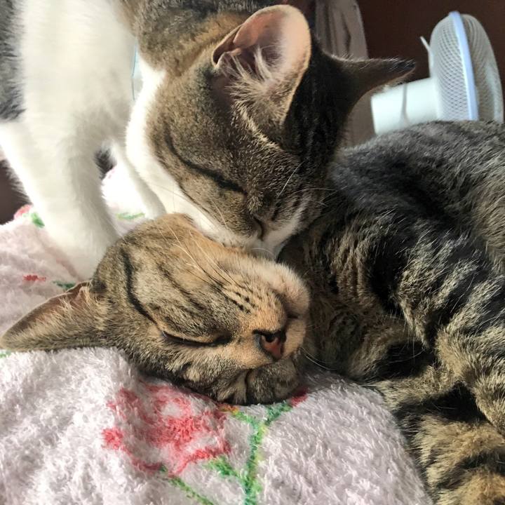 F16ce1f5 3cc5 4d73 b612 3303f39a14ae