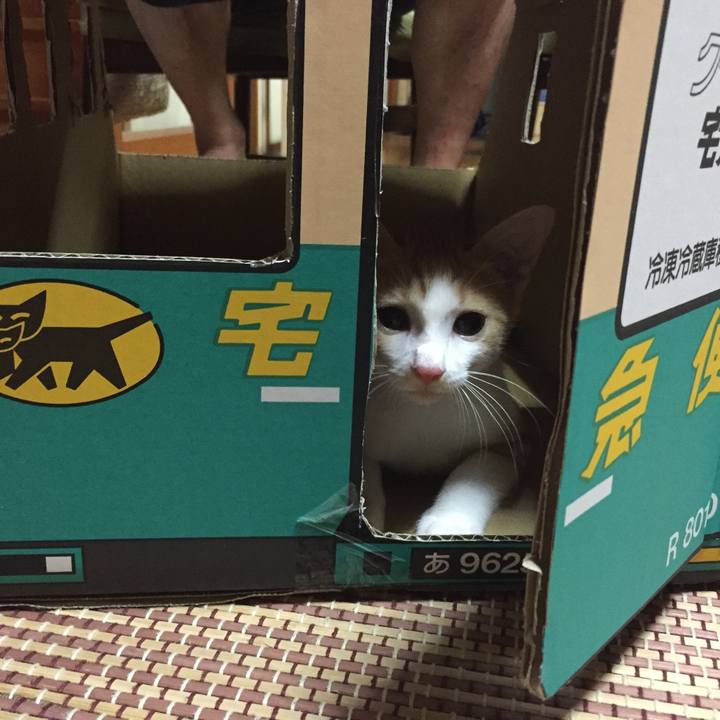 F16cfc3b 7add 4965 8cbb 7cf9566ab5fd