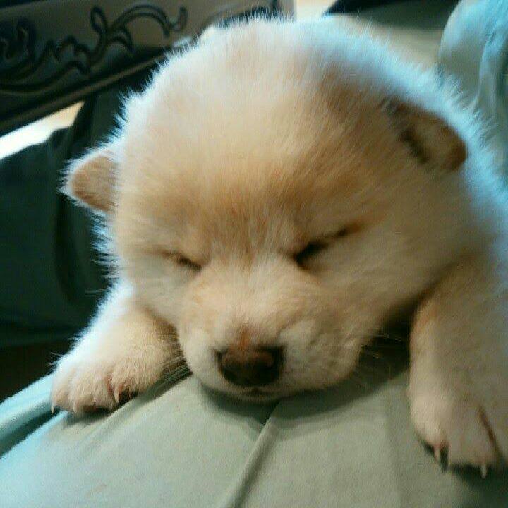 F16d0906 6867 4785 8d5a 4c4f79e57476