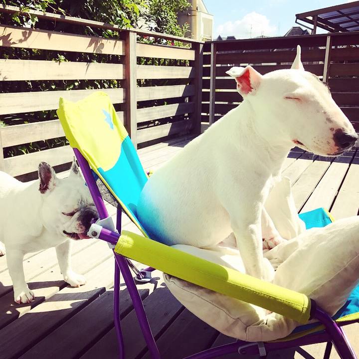 F16d33c9 a5e9 4a82 a7ca 3803f01b170a