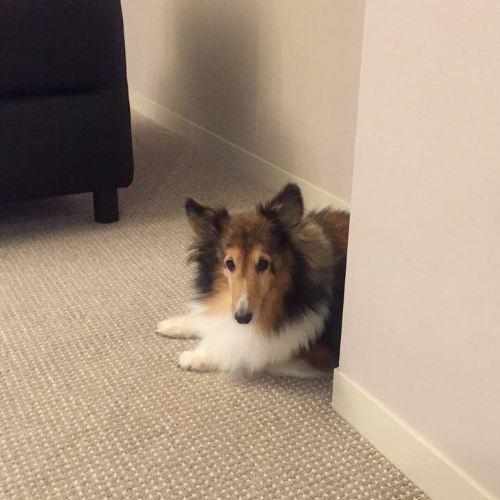 F16d4abb 00bf 4ca7 a07c 218011fe913a