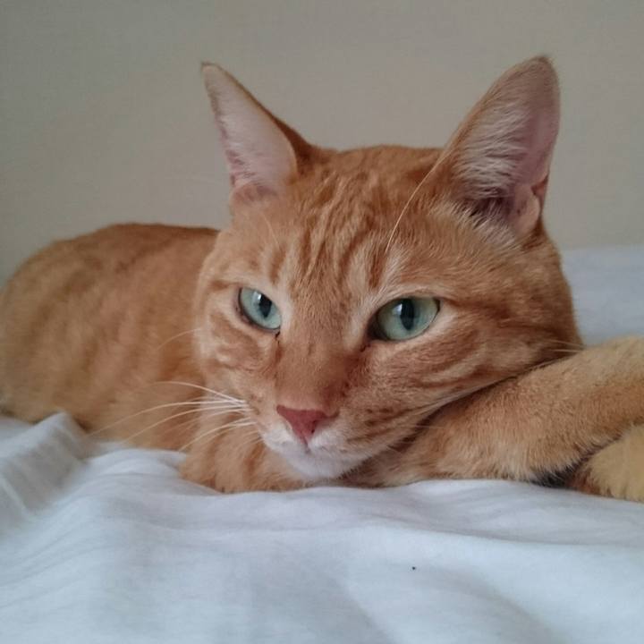 F16d860d cbb5 431c 9270 3d9137ed56ce