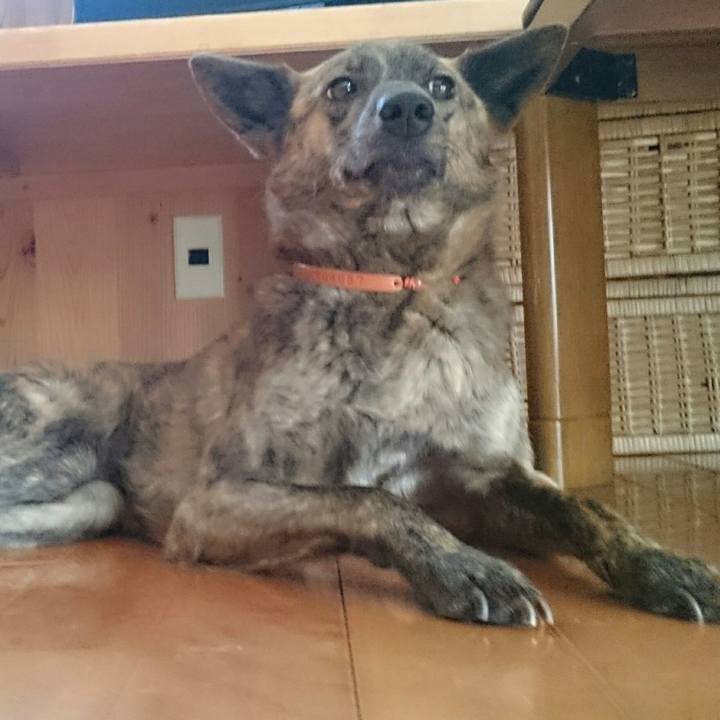 F16dac14 495a 4571 920d 1facae76adca