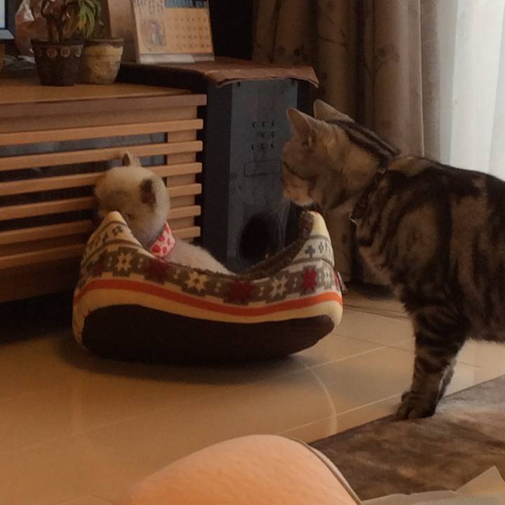 F16dbcbe 2023 4ce8 8c57 99a5e79fdda5