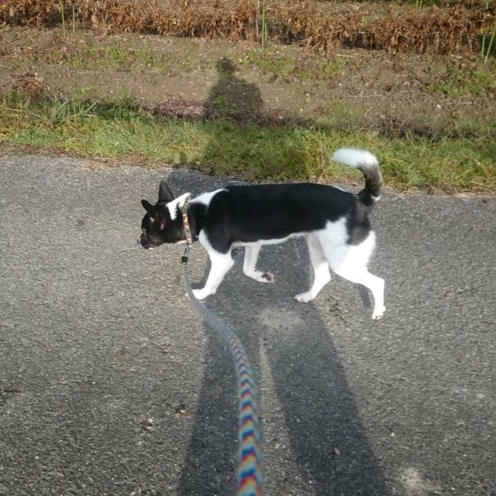 F16dc748 7751 478b b432 b13a1e38607d