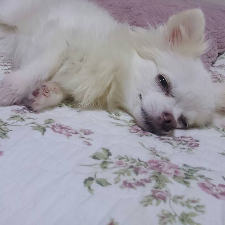 F16e3c8b b6c9 460f 90f7 3e70726ca1e7