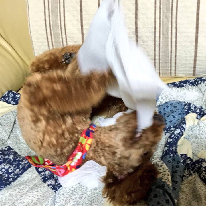 F16eb866 6c65 44c2 85db af3cbc03d69d