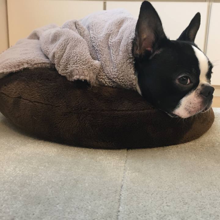 F16f3962 c992 41d3 a9e3 86c4f177cdd3