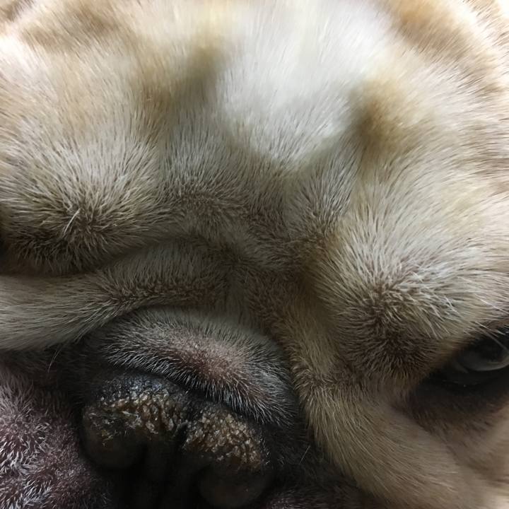 F16fc35c c8ce 49f1 b560 16e7d24c2560