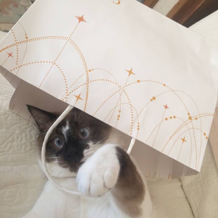 F16fe00c 6a4d 4fba baee 703a3184f8d3