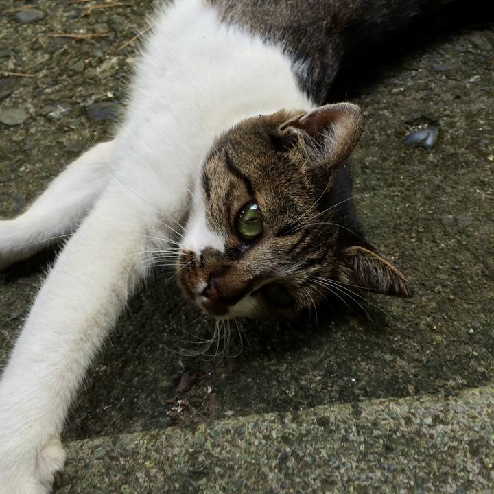 F1704f1a 45e5 4f2c a228 36363b6a84ed