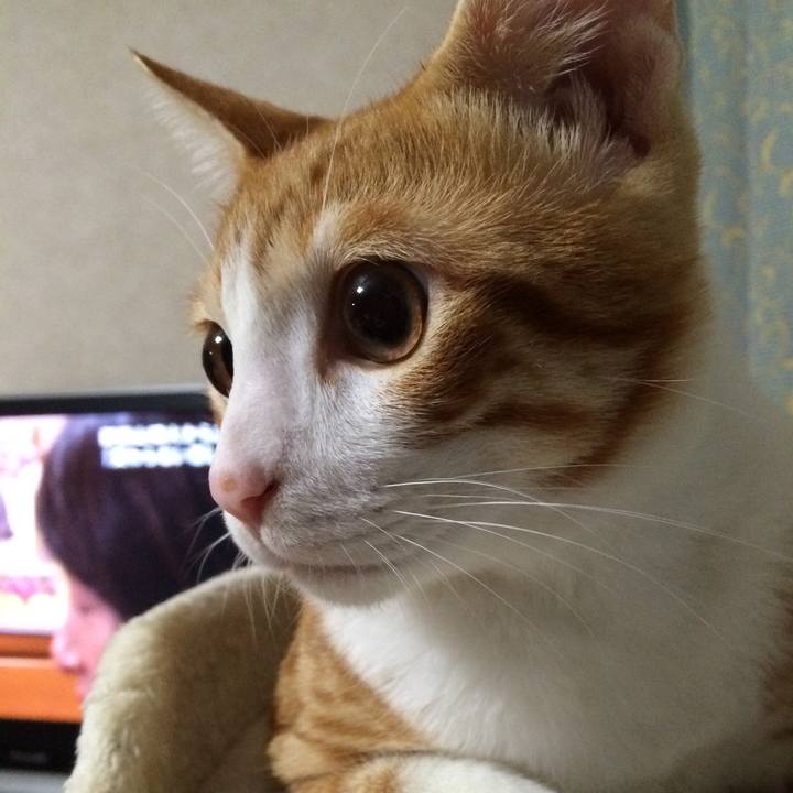 F1707031 b315 4d5b ae7e 767d256d526c