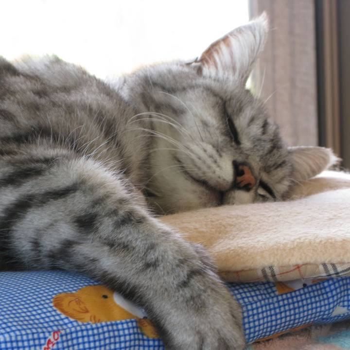 F170bddb 6521 4664 88b3 55bce52d8193