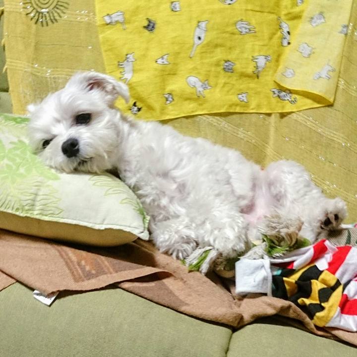 F17169ce 76b3 4f96 978b 575b08c258b2