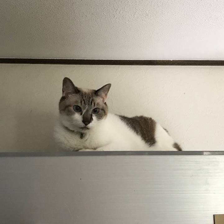 F1716af3 c8d0 4719 b640 f809ebc99645