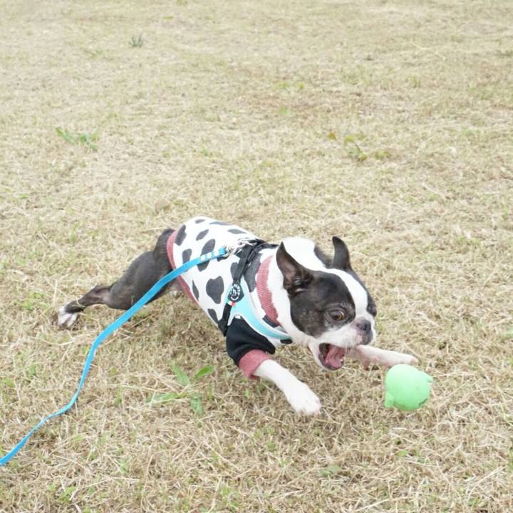 F171d647 6bc7 41c0 a0b1 90f697c7925e